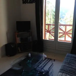 Studio Foux D'allos Ski France